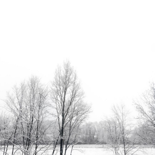 Schnee